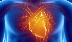 Covid-19: la miocarditis, la secuela que más preocupa a los científicos