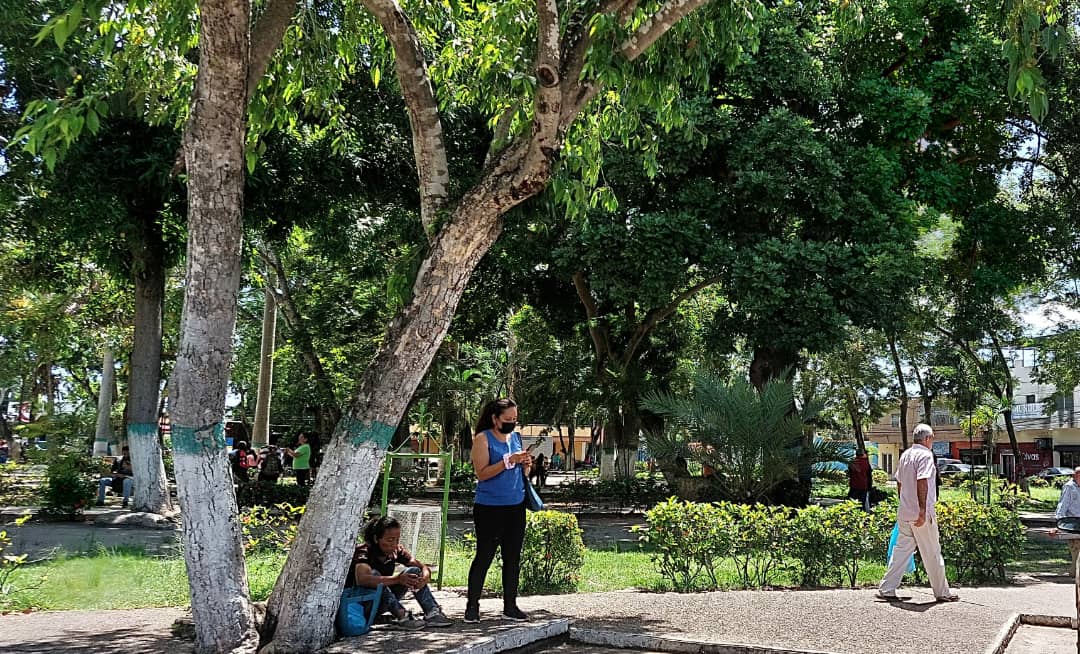 En El Tigre se la pasan de “aquí pa’ allá” en busca de señal que les permita llamar o conectarse