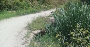 Productores agrícolas de Aracay en Mérida arriesgan su vida al transitar por vías “vueltas nada”