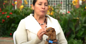 Testigo Directo: Robo de perros, el nuevo delito para extorsionar en Colombia (Video)
