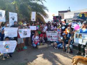 Organizaciones proteccionistas en Anzoátegui exigen al régimen que el maltrato animal sea penalizado