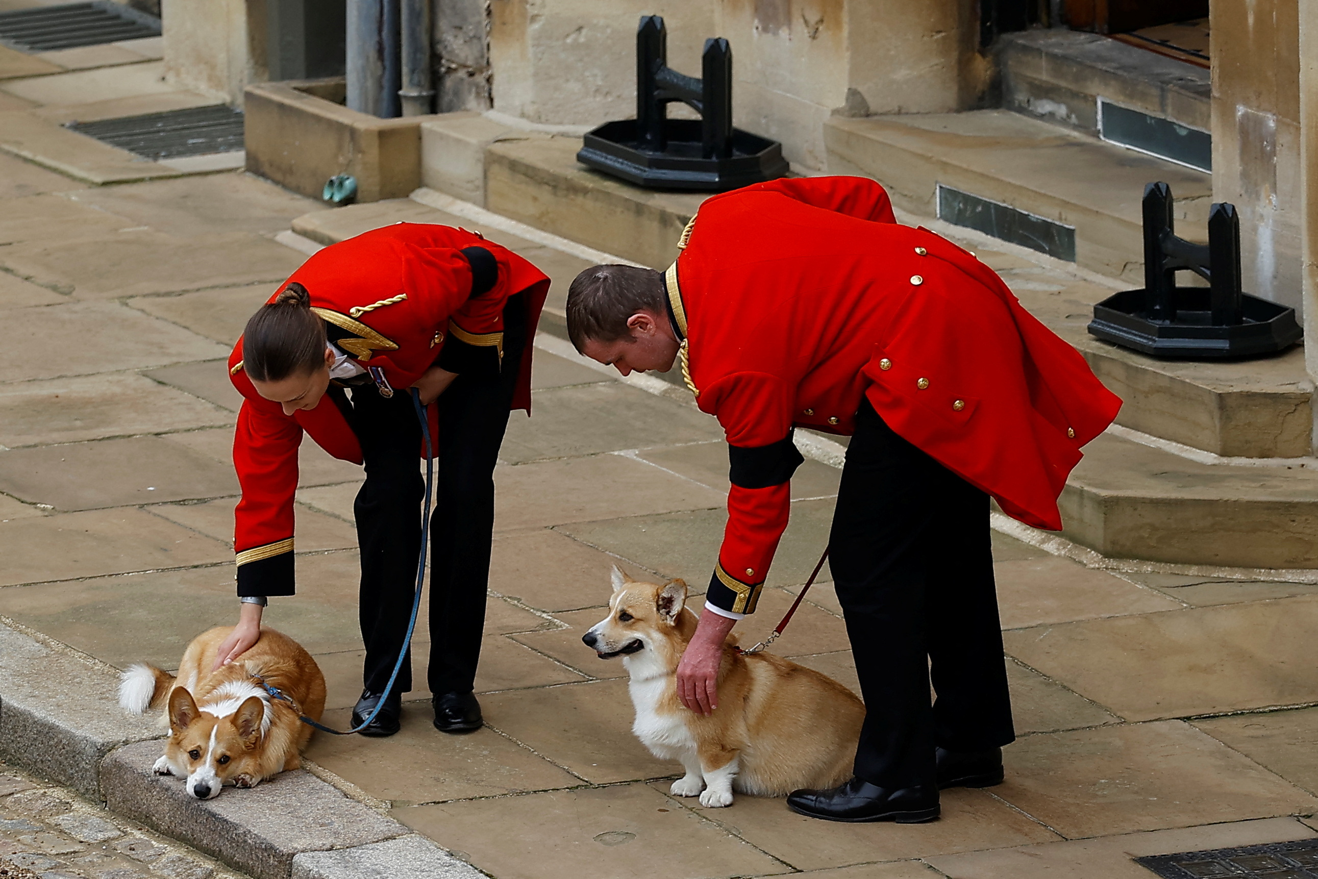 Los corgis de la reina estuvieron presente en el paso del cortejo fúnebre (Fotos)