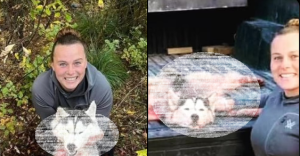 Imágenes sensibles: Mujer disparó y despellejó a un husky siberiano al confundirlo con un lobo