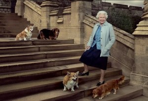 Muerte de Isabel II elevó el precio de los perros corgis a un punto récord