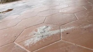Leakage of calcined alumina in Bauxilum is a huge danger to the health of the inhabitants of Ciudad Guayana (Photos)