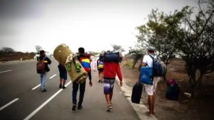 Some 300 young people from Barinas have decided to brave the Darién jungle to emigrate to the US