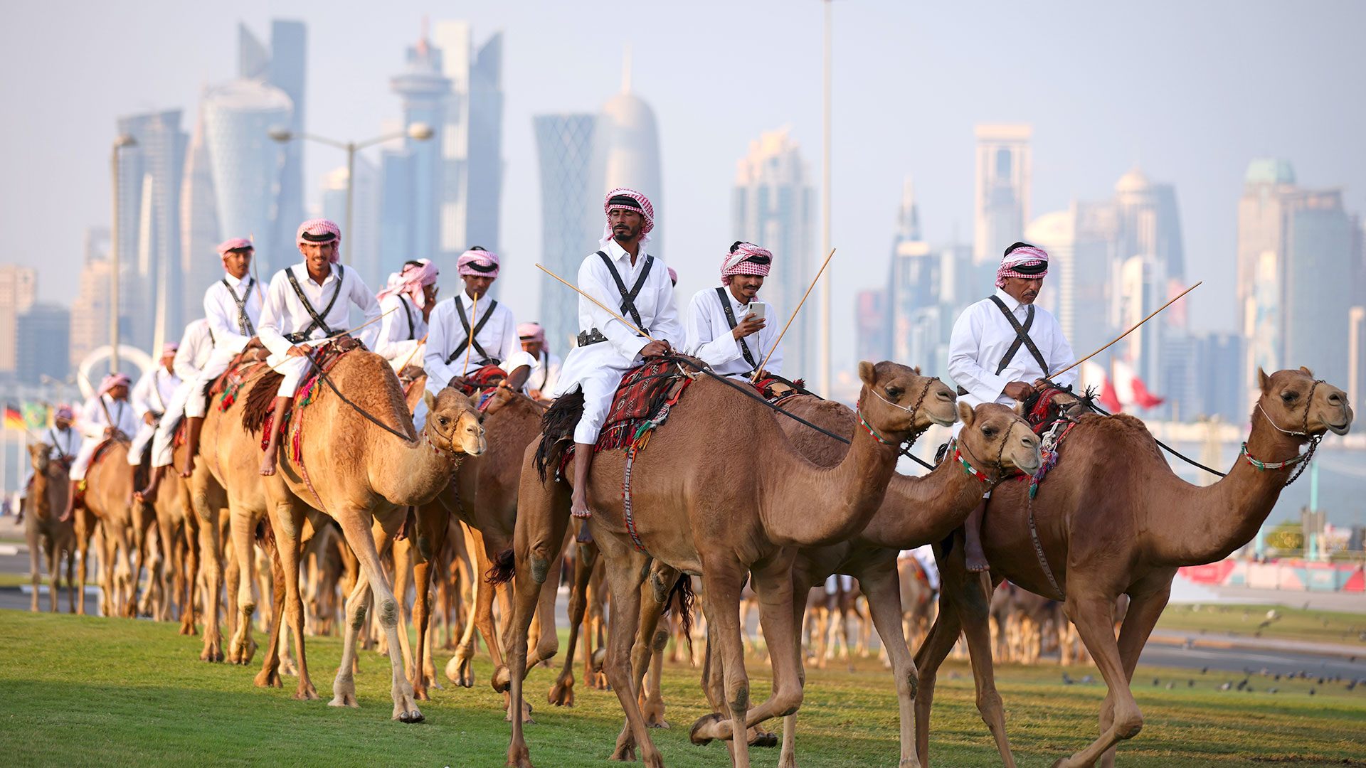 “Virus del camello”: se podrían generar brotes globales tras el Mundial en Qatar, advierten los científicos