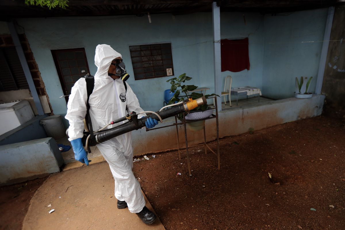 El dengue bate récords en Brasil: el mosquito transmisor avanza con fuerza debido al aumento de las temperaturas
