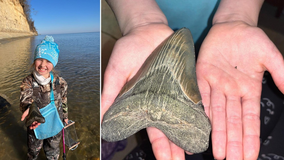 El inesperado y prehistórico hallazgo realizado por una niña en una playa de Maryland