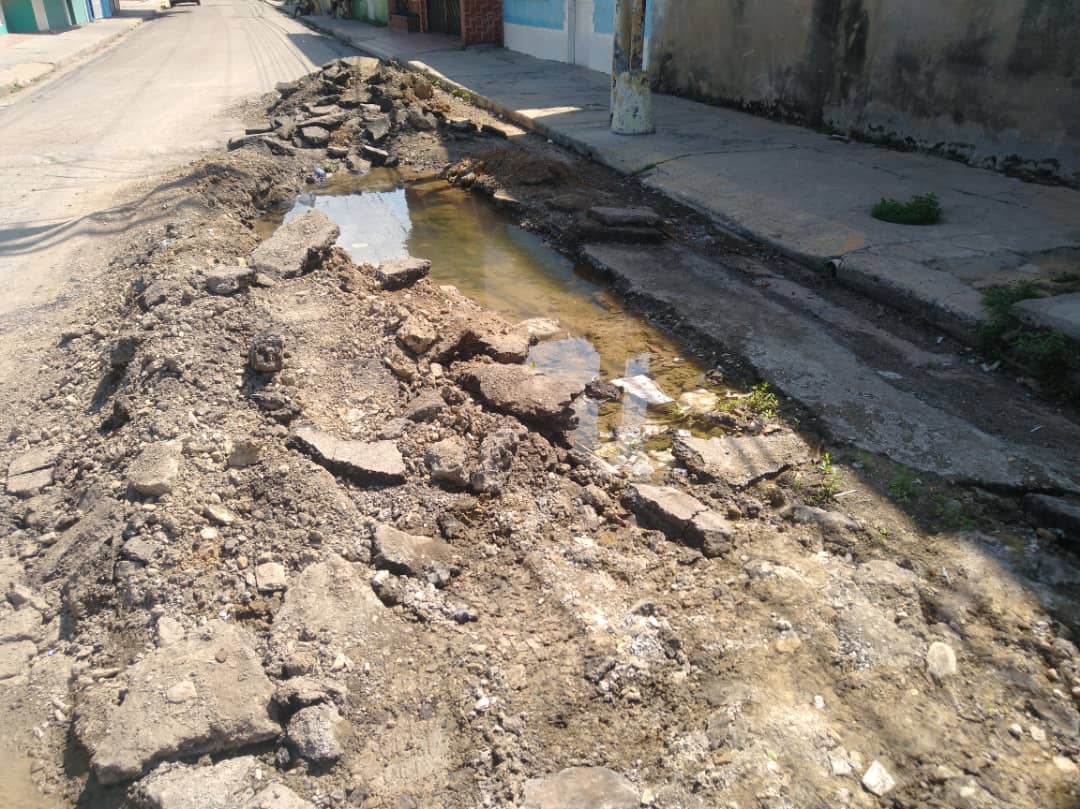 En Tierra Adentro, las calles se convirtieron en un criadero de plagas… y el alcalde de Puerto La Cruz ni pendiente