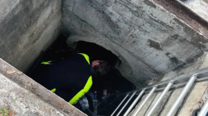 Florida: Rescatan a mujer de una alcantarilla por tercera vez en menos de dos años