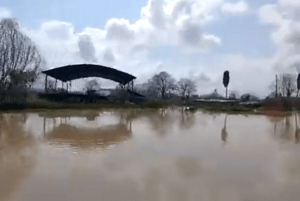 Insólito: caseríos al sur del lago de Maracaibo llevan casi un año bajo el agua (Video)
