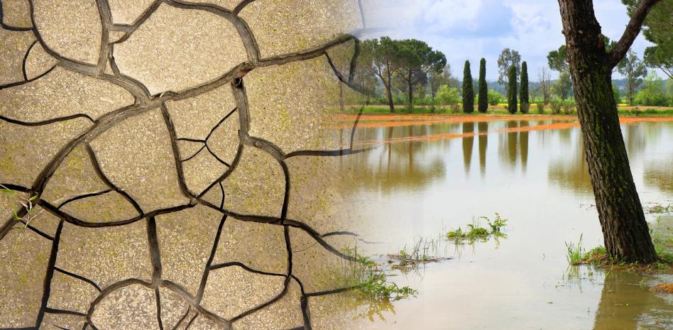 La FAO advierte de la posibles sequías en América ante la llegada de El Niño