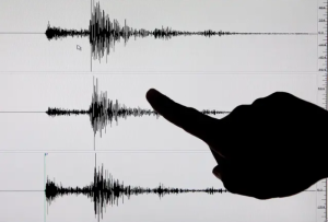 Sismo de magnitud 4,5 se registró en Irapa este #24May