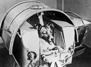 La terrible verdad de la muerte en el espacio de la perrita Laika que el Kremlin ocultó durante 45 años de mentiras