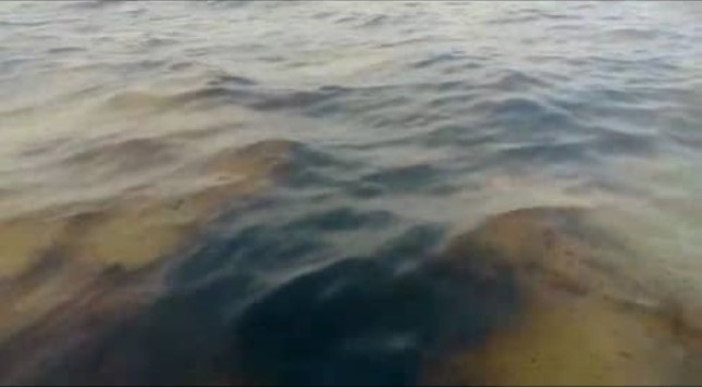 Nuevo derrame de crudo se extiende por el Golfete de Coro y Pdvsa ignora el grito de auxilio de pescadores