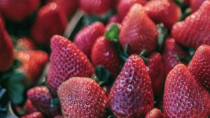Alerta en EEUU: El mortal virus alojado en las fresas que obligó a ser retiradas de los supermercados