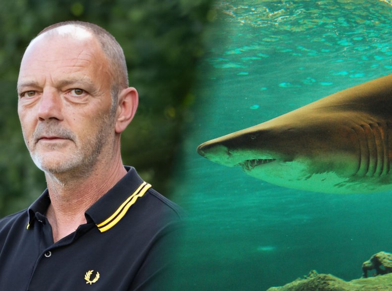 Hombre narró cómo sobrevivió a ataque de tiburón: “acepté morir, luego los delfines me salvaron”