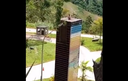 Autoridades atienden a persona que amenaza con saltar de una edificación en Coche (VIDEO)