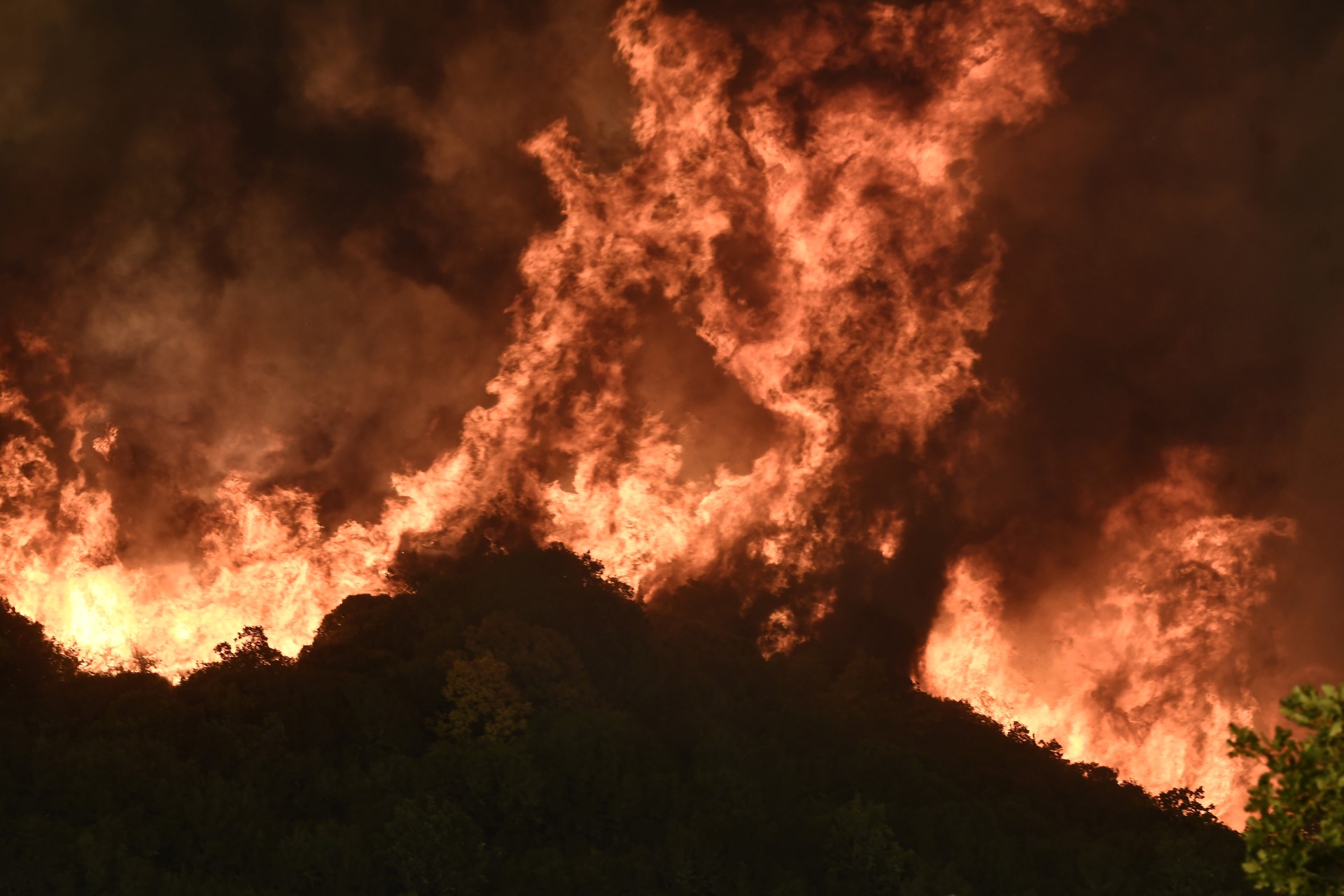 Incendios en Grecia se han cobrado la vida de al menos 21 personas