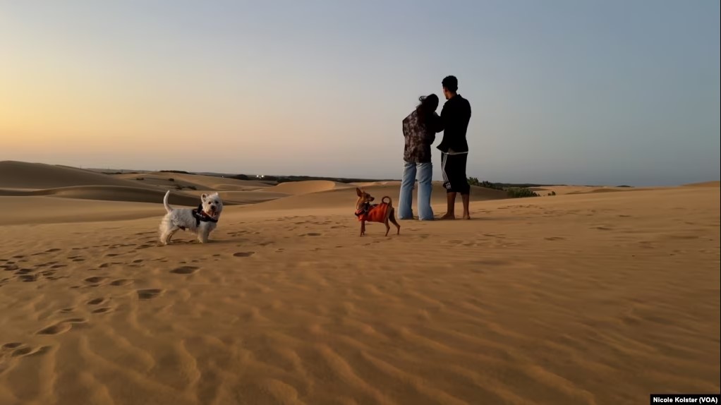 De África a Venezuela: ¿Cómo termina la arena del Sahara en los Médanos de Coro?
