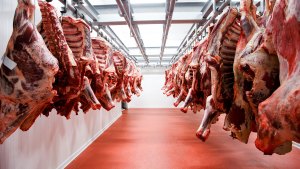 Argentina suspende las exportaciones de carnes para negociar precios internos