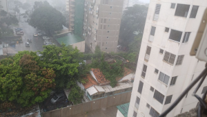 VIDEO: enormes árboles cayeron en El Paraíso debido a la lluvia y los fuertes vientos este #30Sep