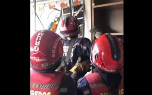 Bomberos rescataron a guacamaya atrapada en un aire acondicionado en Caracas (Video)