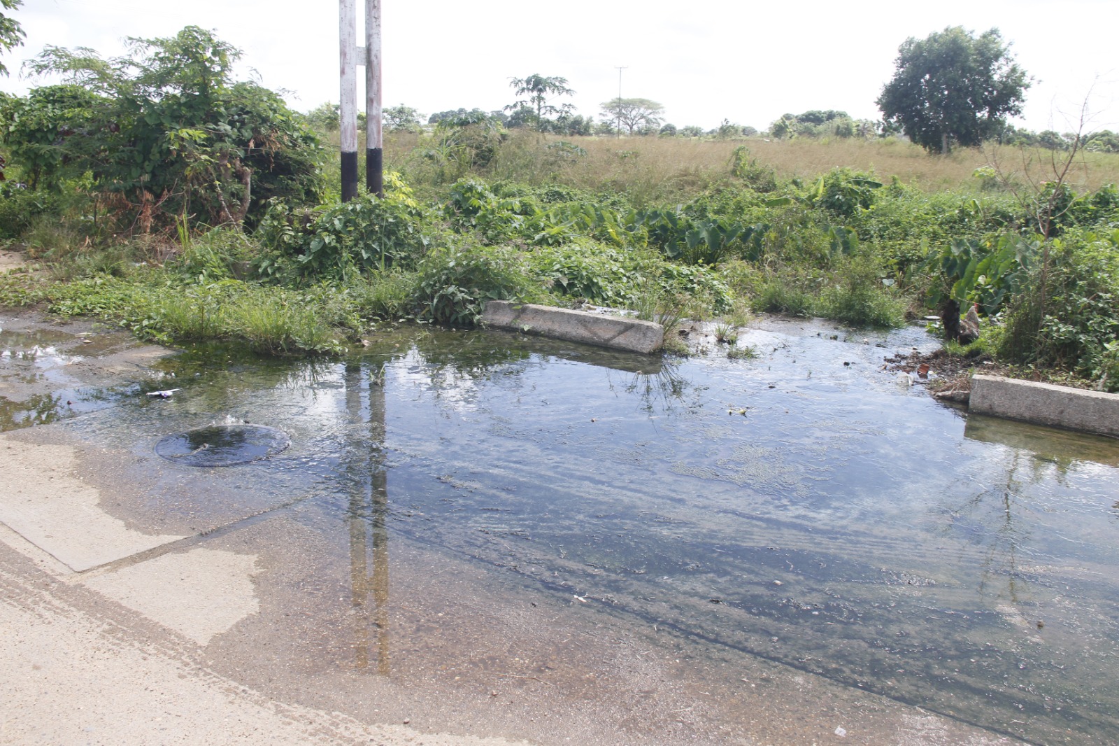 Desborde de aguas negras afecta a más de 330 familias en Villas del Sur en Maturín