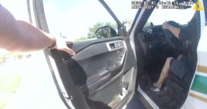VIDEO: Mujer robó una patrulla en Florida y murió al estrellarse contra un vehículo tras conducir en sentido contrario