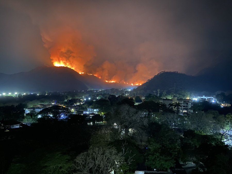 Cuáles serán las consecuencias de los incendios forestales en el Henri Pittier