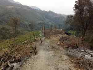 Alerta forestal en Lara: persisten los incendios provocados en el Parque Nacional Yacambú