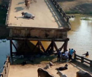 Gandola provocó colapso del puente San Bartolo en la población de Cazorla en Guárico