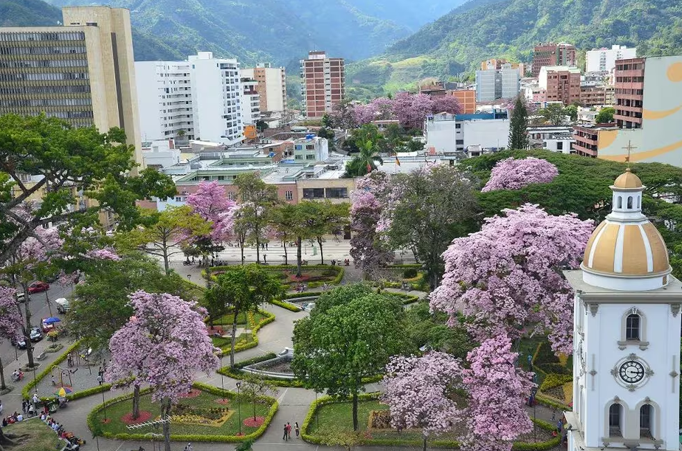 Drama en Colombia: adolescente fue asesinado por su papá ebrio cuando trataba de defender a su madre