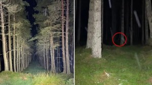 Caminaba por un bosque, descubrió algo aterrador entre los árboles y todo quedó filmado (VIDEO)