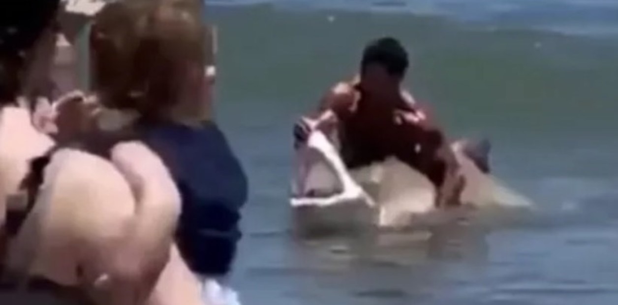 Sin miedo: VIDEO muestra como un joven le abre la boca a un tiburón para quitarle un anzuelo en playa de Delaware