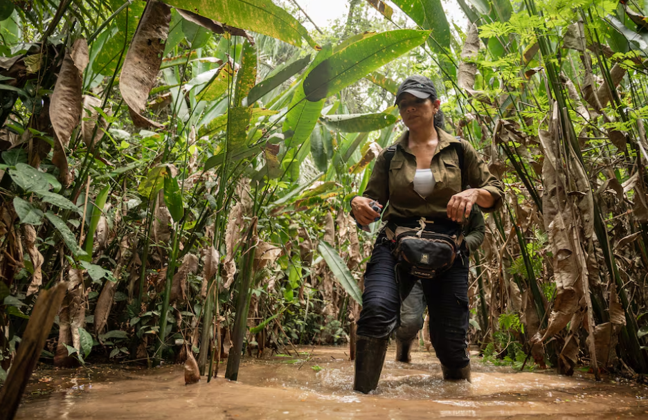 El País: La cruzada de una bióloga para salvar el refugio del mono araña en Venezuela