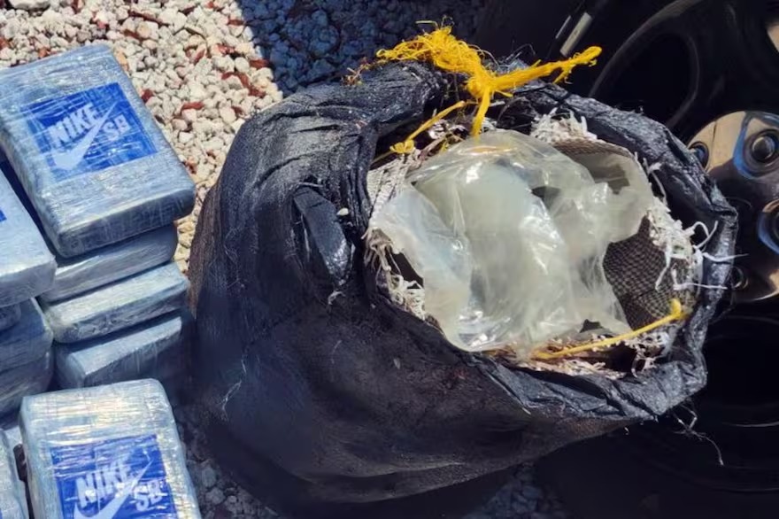 Encontraron un paquete sospechoso en las profundidades en los Cayos de Florida al bucear para remover basura