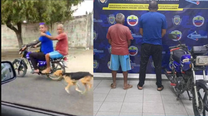 Detenidos dos indolentes en Zulia por amarrar a un perrito a una moto y causarle sufrimientos (VIDEO)
