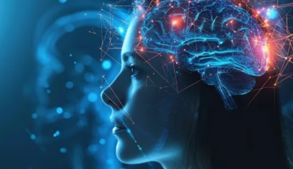 Descubren un nuevo circuito cerebral que detecta rápidamente las caras
